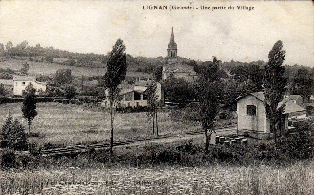 Lignan 33 12-04-14.jpg