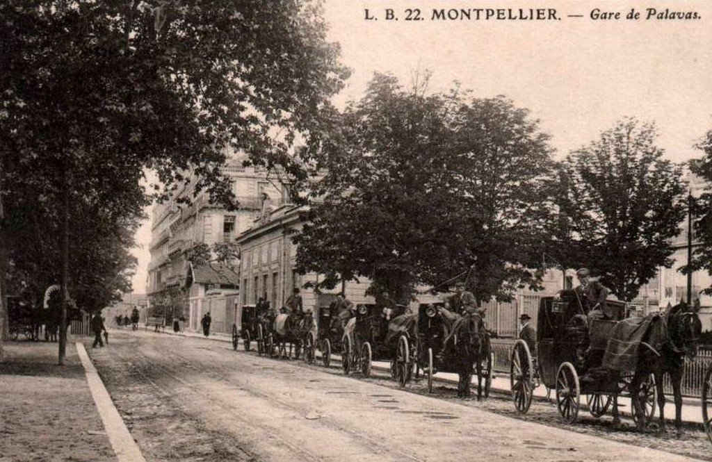 Attelages-Montpellier 34.jpg