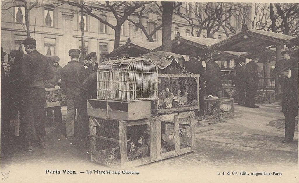 paris-vecu-marche-aux-oiseaux.jpg