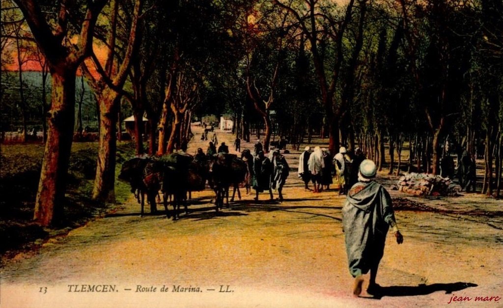 Tlemcen - Route de Marina.jpg