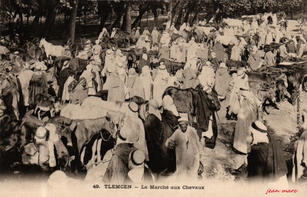 Tlemcen - Marché aux Chevaux.jpg