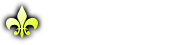 5+ 5+