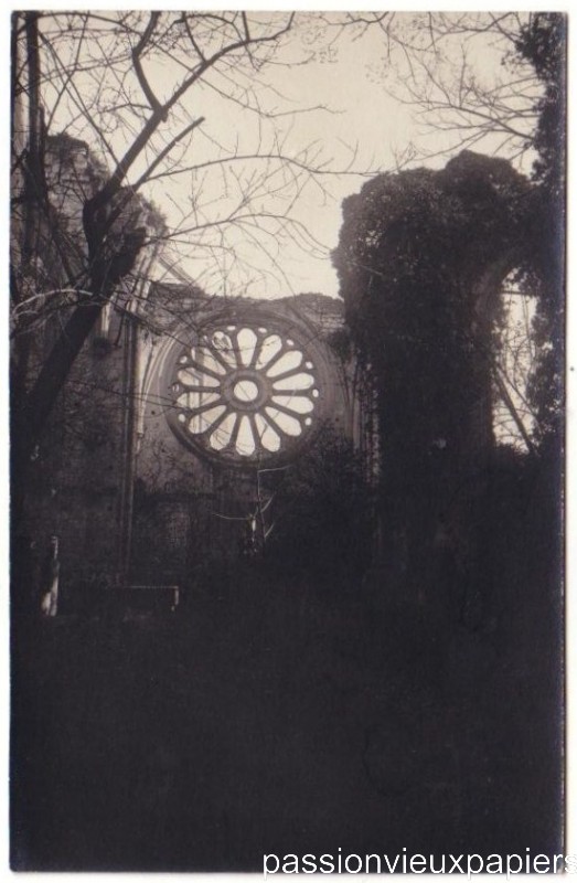 49 Angers Ruines Abbaye Toussaint 3 [F].JPG