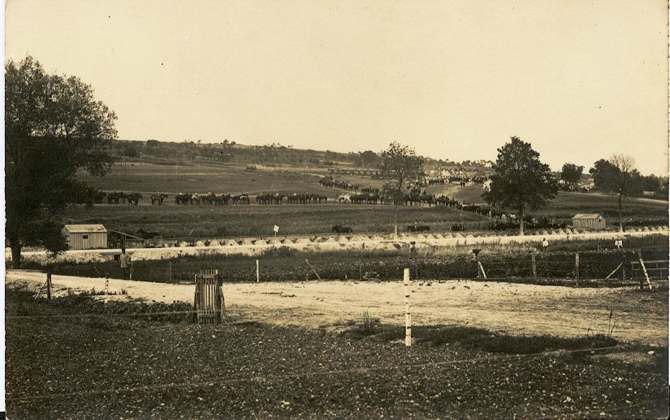 Inc51C.jpg