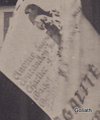 drapeau detail.jpg