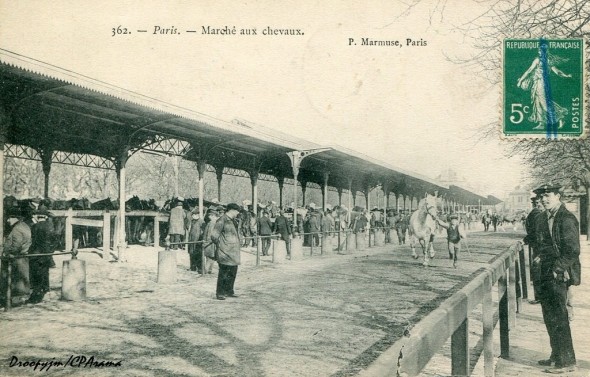 1327155582-Paris-Marche-aux-chevaux-1