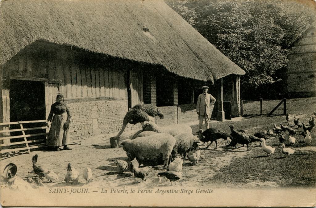 Image