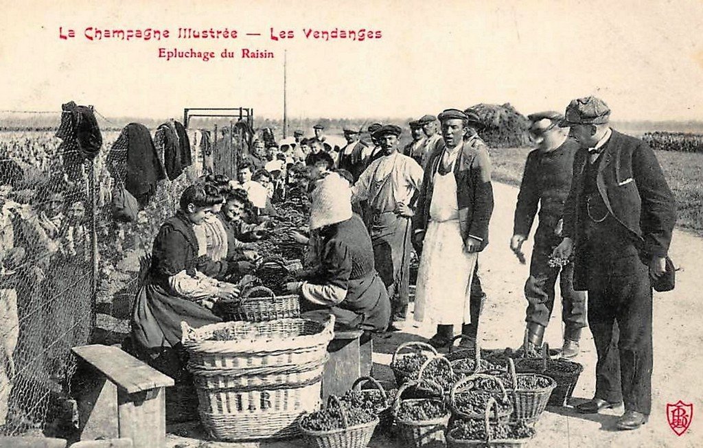 Carte N.L. Vendanges 51.jpg