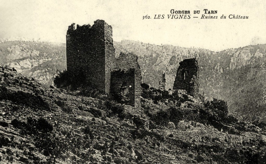 Les Vignes 362.jpg