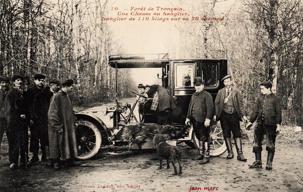 Forêt de Tronçais - Une Chasse au Sanglier.jpg