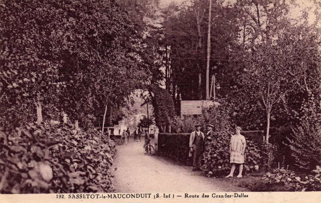 76 - SASSETOT-LE-MAUCONDUIT - 192 - Route des Grandes-Dalles - G. Palfray, éditeur - 06-05-25.jpg