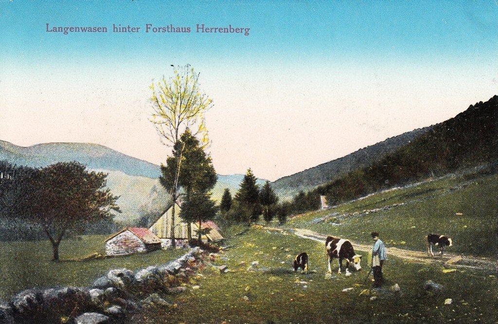 Mittlach-Langenwassen 68.jpg