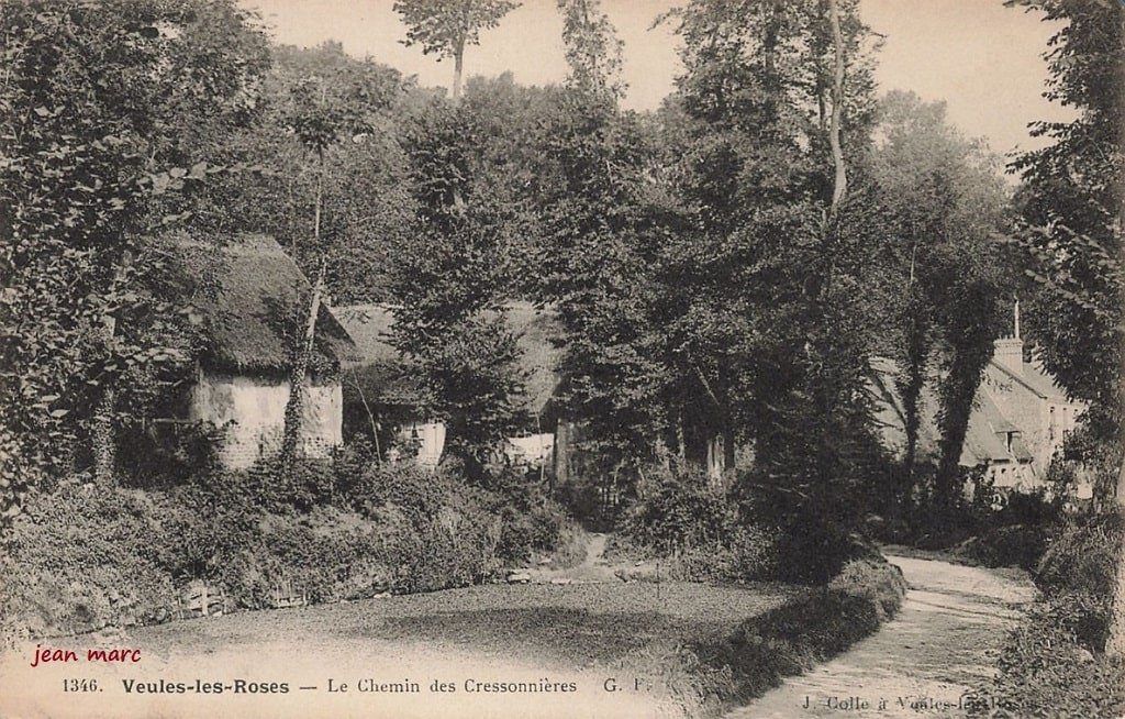 Veules-les-Roses - Le Chemin des Cressonnières.jpg