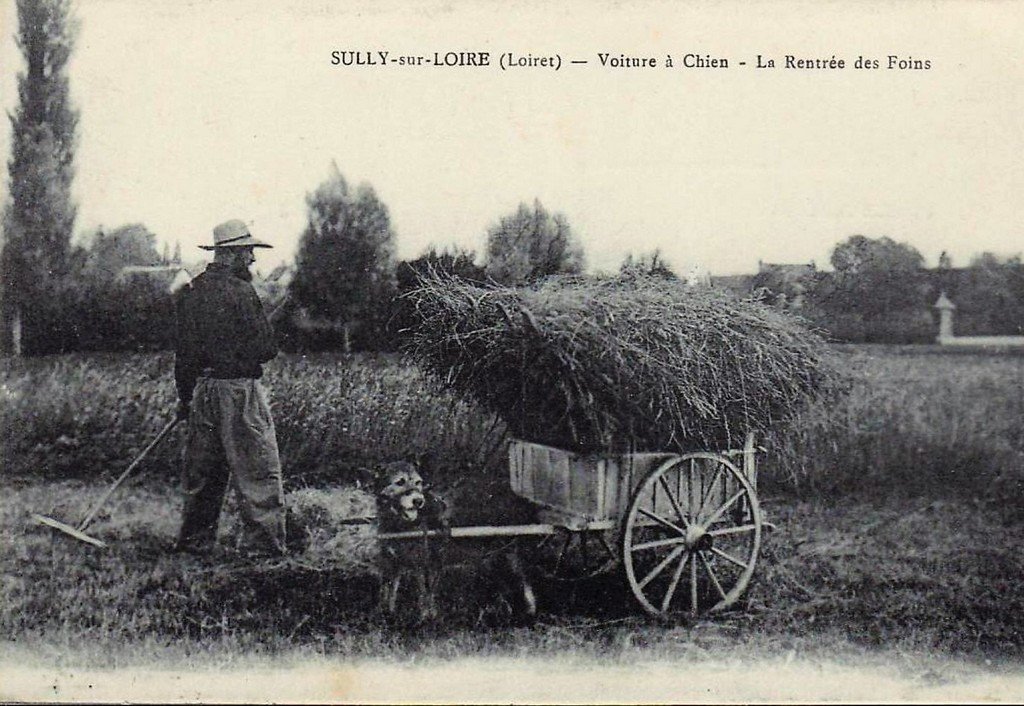 Sully sur Loire 45 (8).jpg