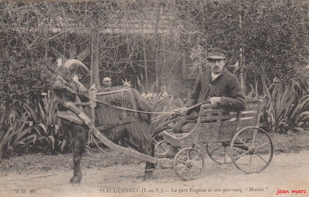 Pleugueneuc - Le gars Eugène et son pur-sang Miston.jpg