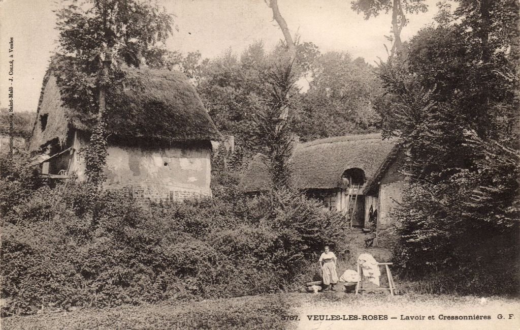 76 - VEULES-LES-ROSES - 3767 - Lavoir et cressonnières - G.F. - 24-05-25.jpg