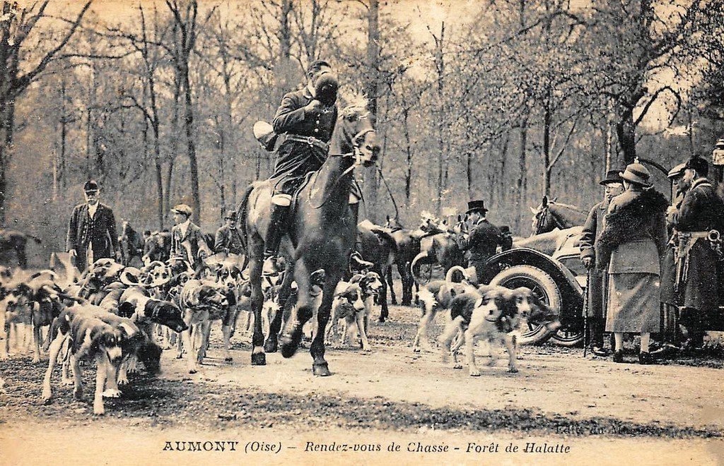 Chasse + Chiens.jpg