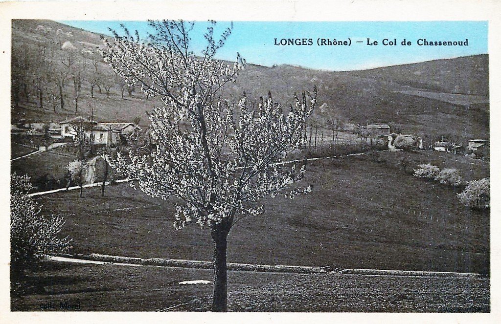 Longe 69.jpg