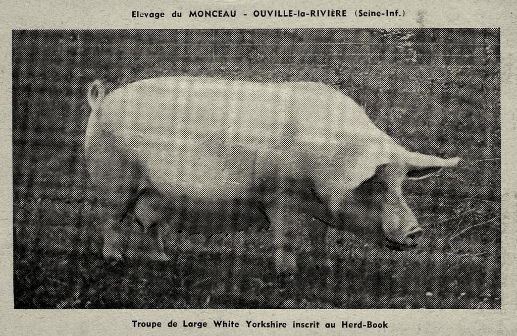 Ouville la Rivière.jpg