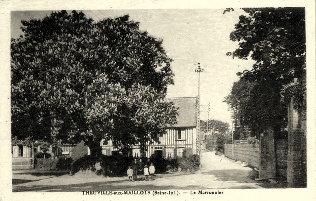 Arbre Theuville 1.jpg