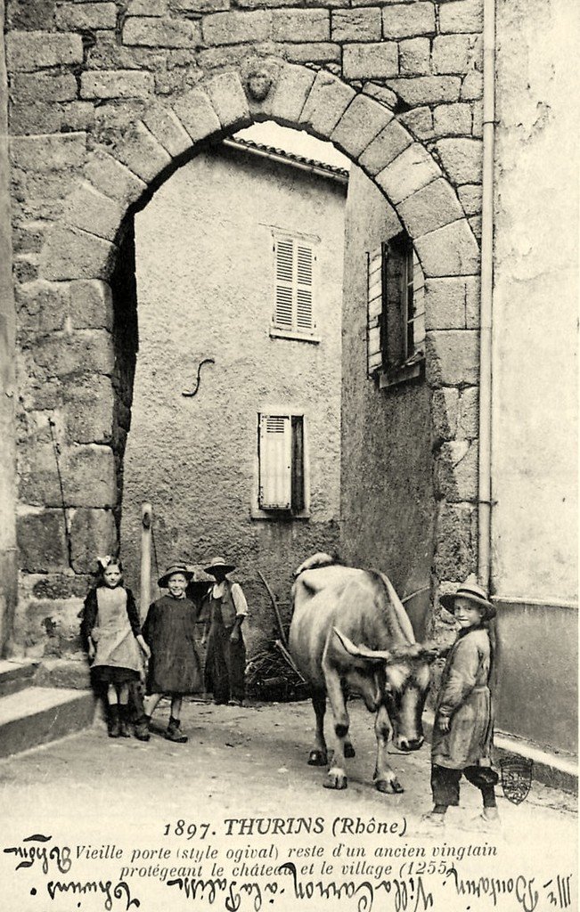 Bovin Thurins 1897.jpg