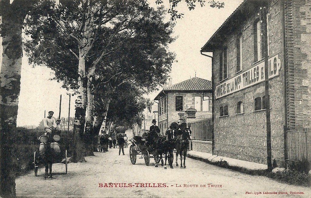 Banyuls-Trilles.jpg
