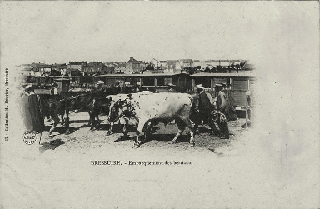 Bressuire 12 H.B.--979.jpg