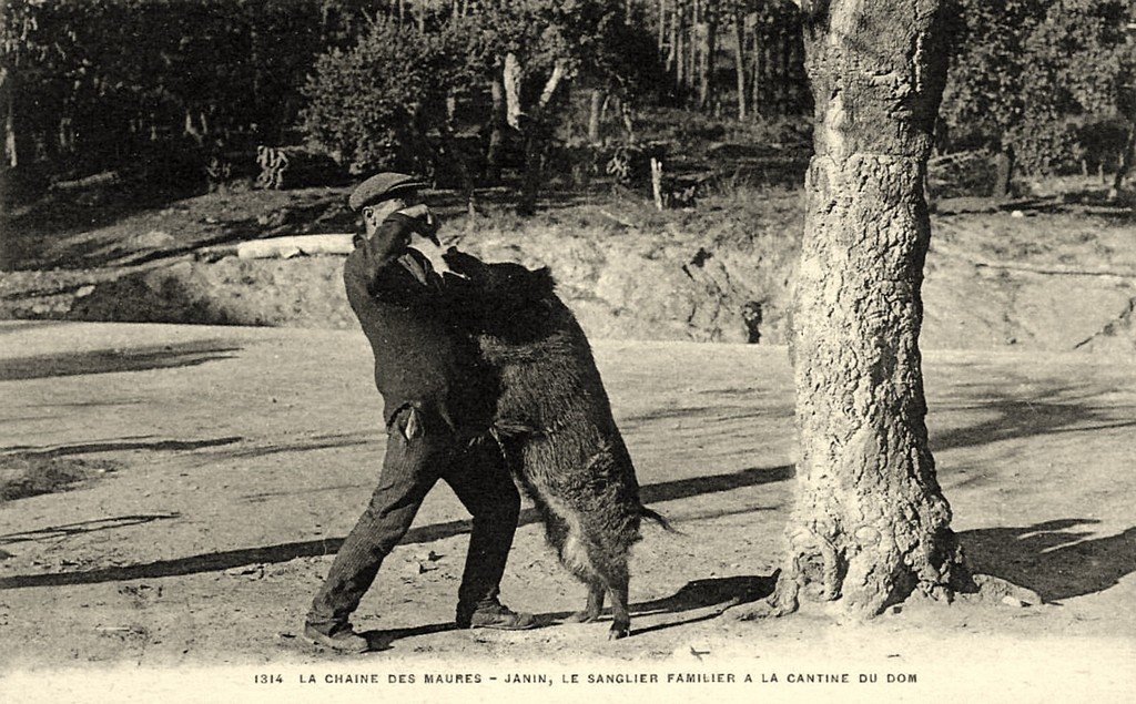 La Londe (1314) 83.jpg