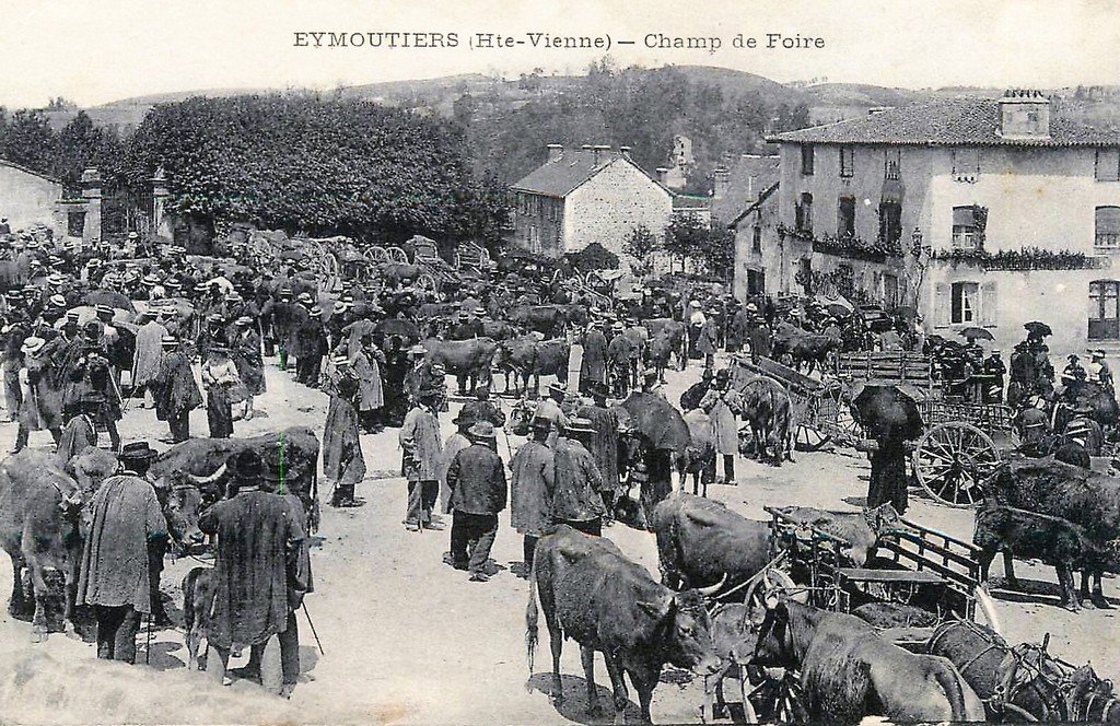 Eymoutiers 87 (139).jpg