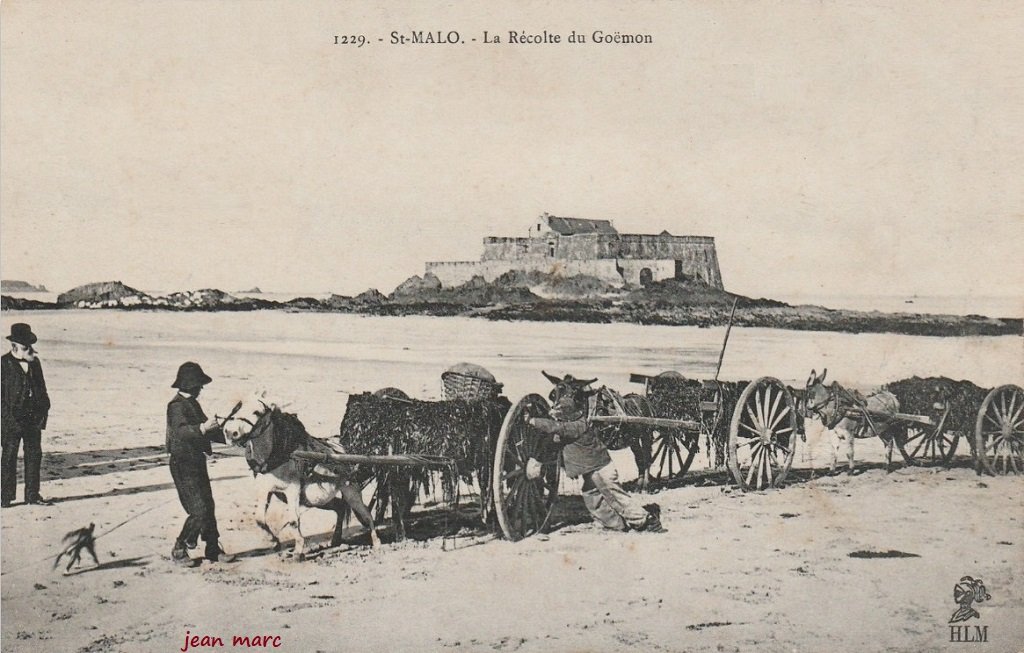 Saint-Malo - La Récolte du Goëmon.jpg