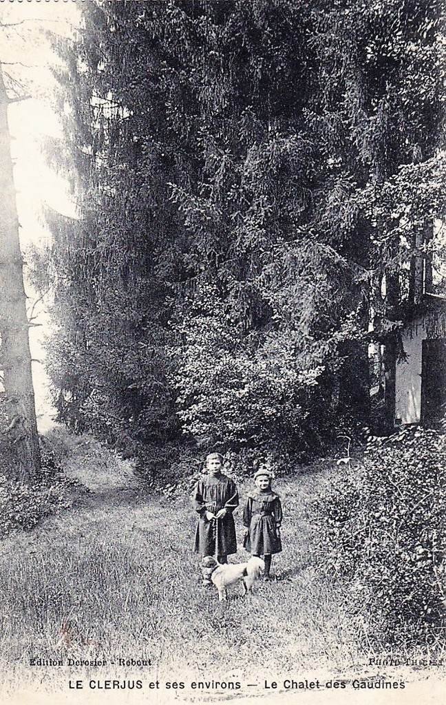 Le Clerjus (Vosges).jpg
