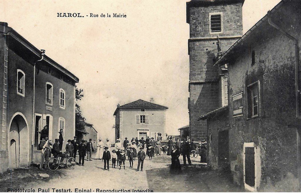 Harol 88.jpg
