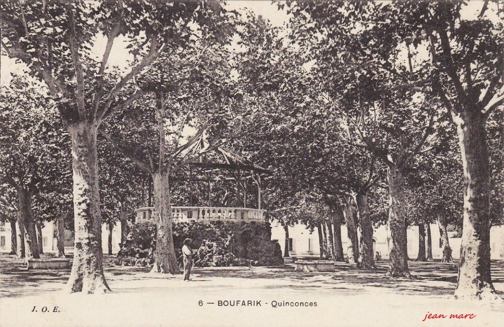 Boufarik - Quinconces.jpg