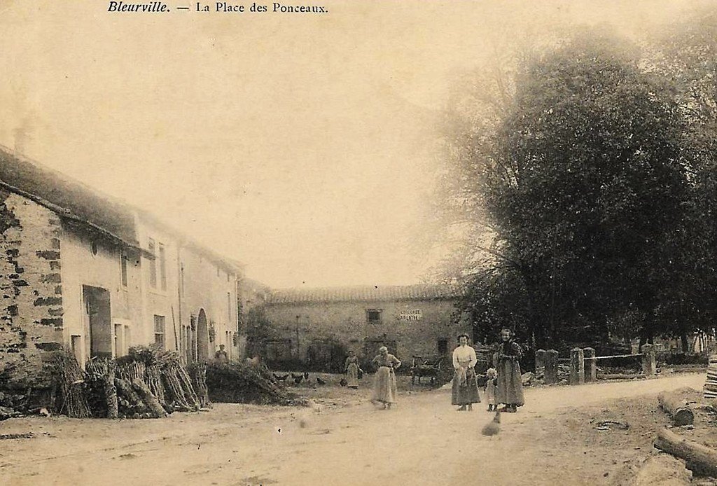 Bleurville 88.jpg