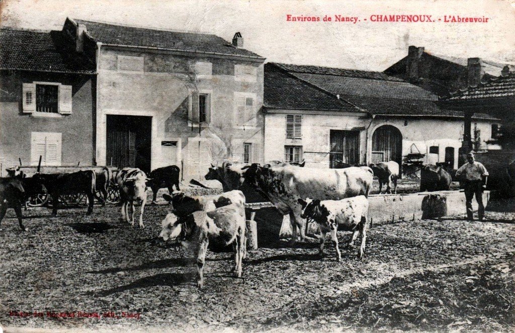 Champenoux 54.jpg