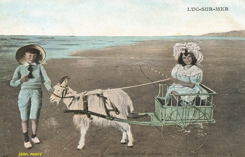Luc-sur-Mer - Voiture à chèvre sur la plage.jpg