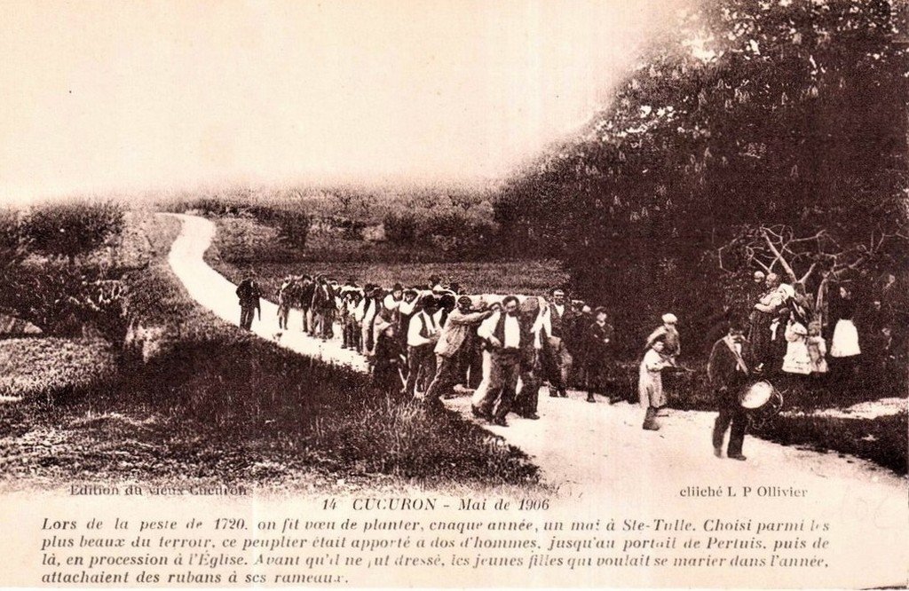 Cucuron 84.jpg