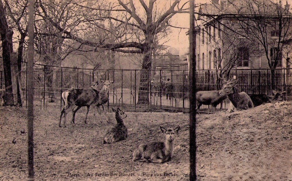 Paris J. des Plantes.jpg