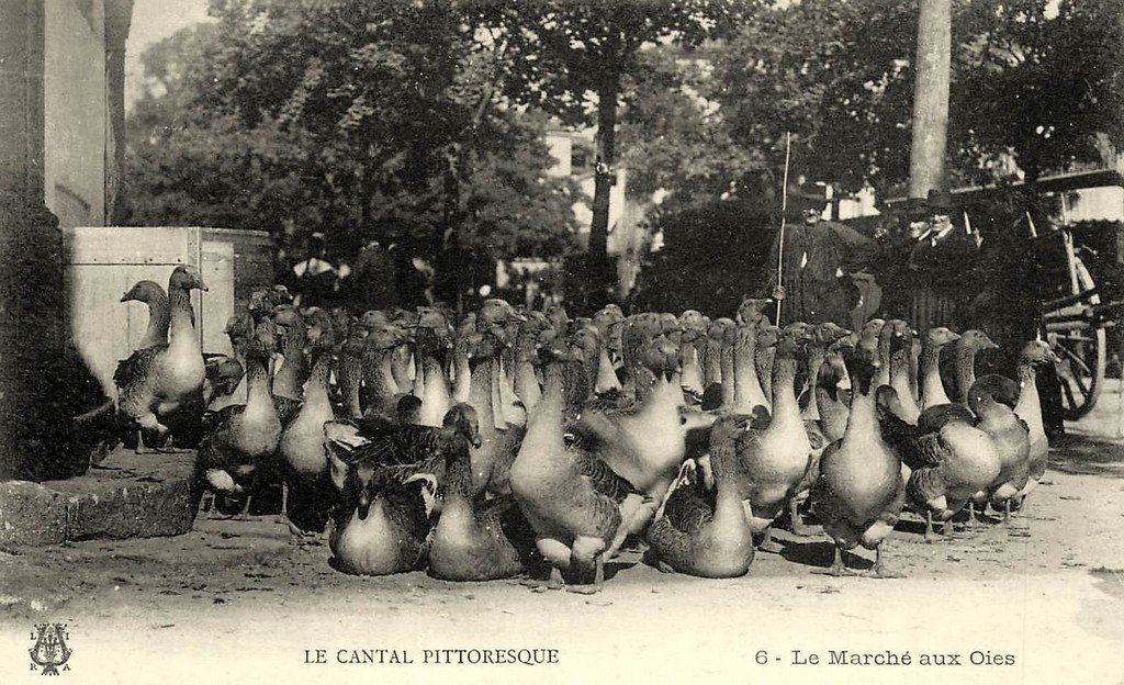 Cantal 6.jpg