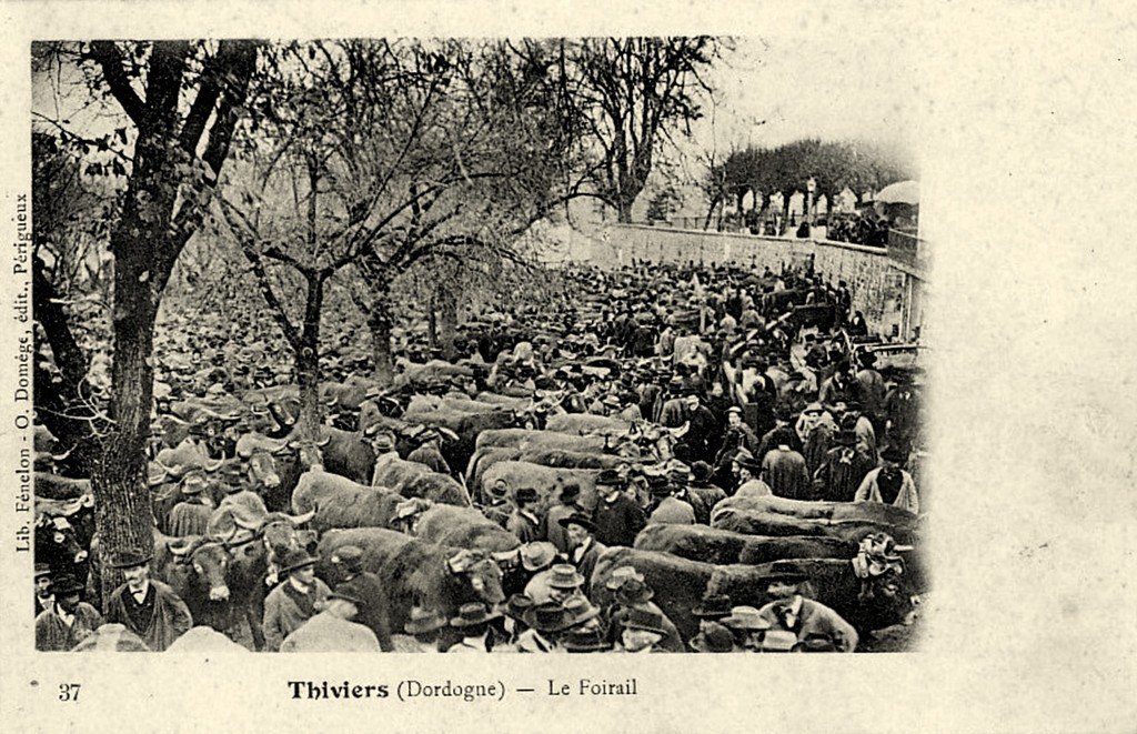 Thiviers 24.jpg