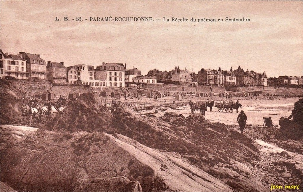 Paramé - La Récolte du Goëmon en septembre.jpg
