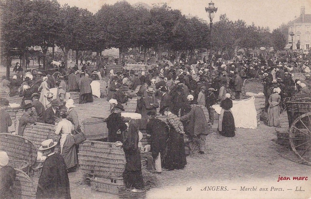 Angers - Marché aux Porcs.jpg