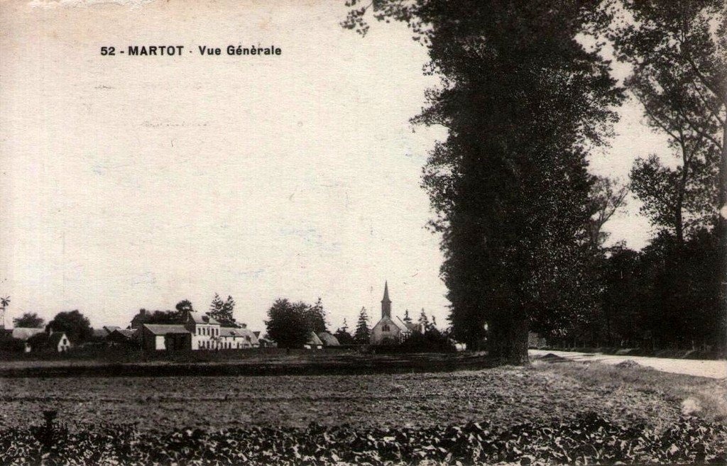 Martot 27.jpg