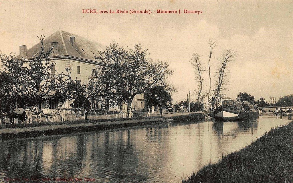 Hure 33.jpg