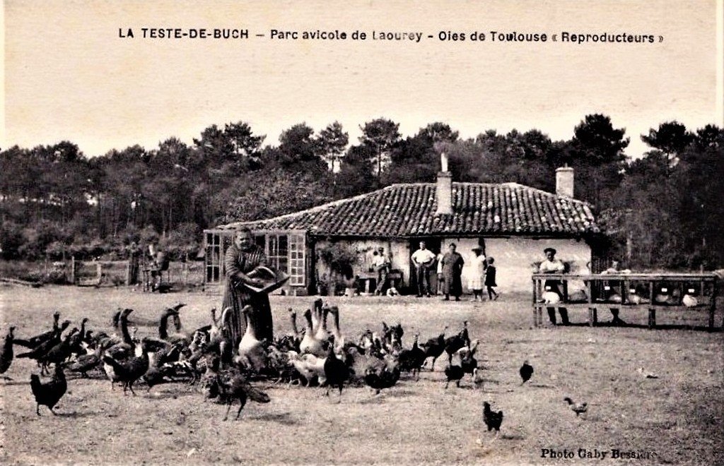 La Teste 33.jpg
