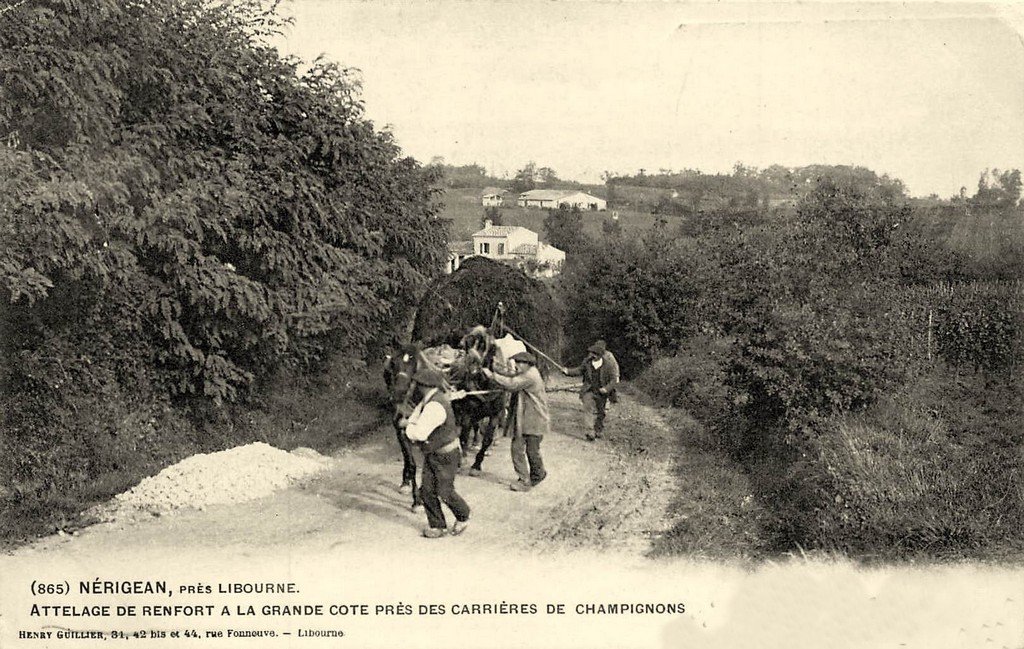 Nérigean 865 33.jpg