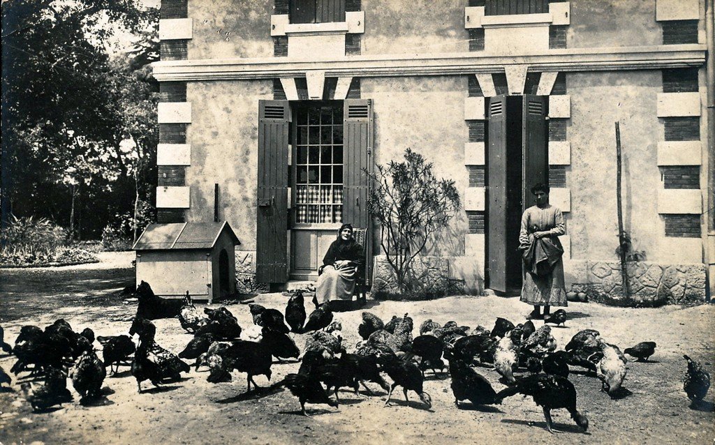 Cambes - Puy Bardens 33.jpg