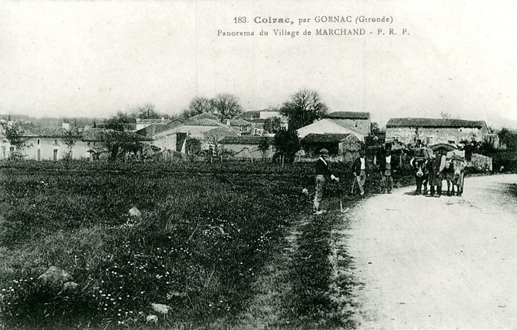 Gornac 33.jpg