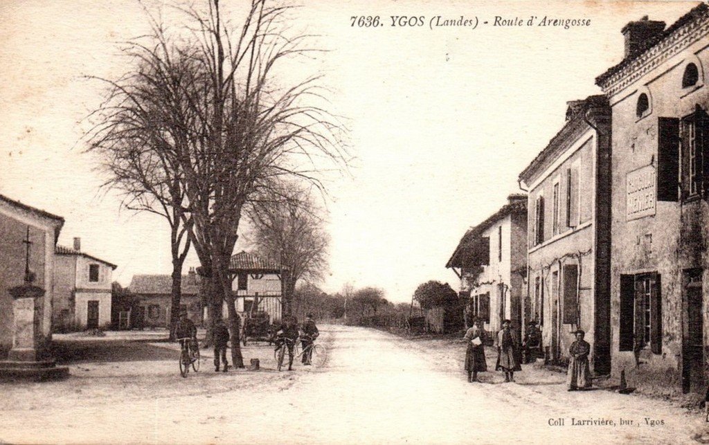 Ygos 7636 40.jpg