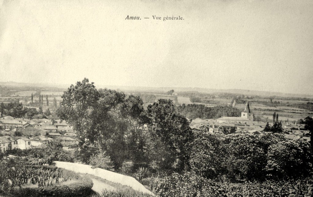 Amou 40.jpg